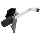 AEM 21-8019DP Polished Brute Force Intake System by AEM