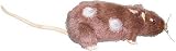 Harry Potter Scabbers Plush