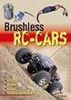 Brushless RC-Cars: Motoren, Regler, Akkus, Technik und Modelle