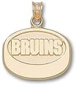 Boston "Bruins" Puck Charm/Pendant