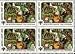 Image: Russian Russia Soviet Union Postage Stamps Block of 4 Intl Year of the Child Issued 10 Sep 1979 Children & Horses 3k MNH