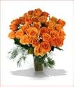 36 Awesome Orange Roses