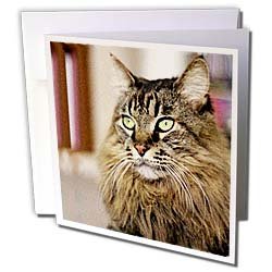 image link -  - B000VG8PF0