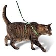 Premier Pet Come with me Kitty Harness Large Electric Lime