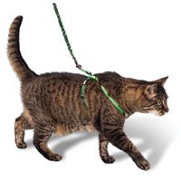 Premier Pet Come with me Kitty Harness Large Electric Lime