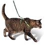 Premier Come with me Kitty Harness Large Electric Lime