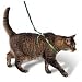 Premier Pet Come with me Kitty Harness Large Electric Lime
