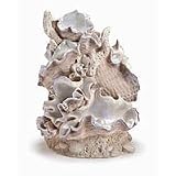 Reef One Samuel Baker Clamshell (Size: Medium)