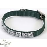 Coastal Pet Jeweled Nylon Dog Collar (Hunter Green, 10 inch L x 3/8 inch W)