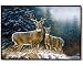 In The Storm (Deer) Doormat