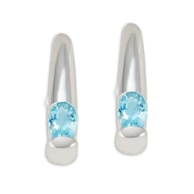 Sterling Silver Swiss Blue Topaz 1 2 Bezel Set Stud Earrings by West Coast Jewelry