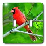 Birds - Red Cardinal - Light Switch Covers - double toggle switch