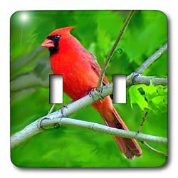 Birds Red Cardinal Light Switch Covers double toggle switch