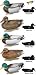 Flambeau Premium Magnum Mallard Duck Decoy