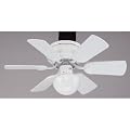 Westinghouse 78108 30-Inch Petite Hugger Ceiling Fan, White