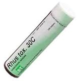 B&T - Rhus Toxicodendron 6X 100 Tabs