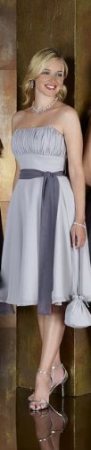 Silver Chiffon Cocktail Dress