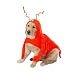 Casual Canine Lobster Paws Dog Costume, Large (fits lengths up to 20"), Red-Orange
