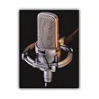 Audio-Technica AT4047 Condenser Microphone