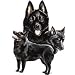 Schipperke Adult Sweatshirt