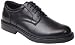 Soft Stags Kingsbury Black Vegan Shoe