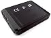 Sony Cybershot DSC-P100, DSC-P150, DSC-P200 - Replacement Battery (Premium Japanese Cells, 1500 mAh, 5-YR Warranty)