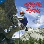 Extreme Ironing 2010 Wall Calendar