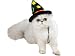 Zanies Witch Wizard Hat Cat Halloween Costume Accessory One Size