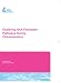 Book Exploring HAA Formation Pathways During  Chloramination