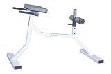 Maximus Fitness MX379 Roman Hyper-Extension Exercise Bench