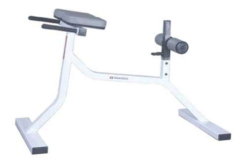 Maximus Fitness MX379 Roman Hyper-Extension Exercise Bench