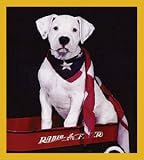 American Bulldog Puppy Bookmark