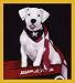 bulldog27 - American Bulldog Puppy Bookmark