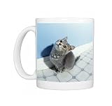 Blue Cat - kitten Photo Mugs