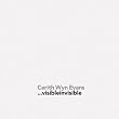 Cerith Wyn Evans: Visibleinvisible