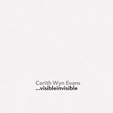Revue Hatje Cantz Publishers  / Cerith Wyn Evans Visibleinvisible