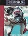 The History Of Buffalo Bills: NFL Today (NFL Today (Creative ...