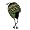 Peepal Green/Subji Green/Tchampa