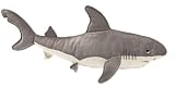 Shark 21