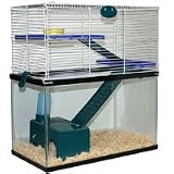 My First Home 10 Gallon Tank Topper
