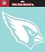 Arizona Cardinals 8
