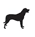 Herding Dog Pet Anatolian Shepherd Car Truck Vehicle Bumper Helmet Decal Sticker Wall Art Laptop Design Skin Stickers
