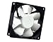 Nexus - Case Fan - 80 mm - 20 CFM - 17 dBA max - SP802512L-03 - Black/White