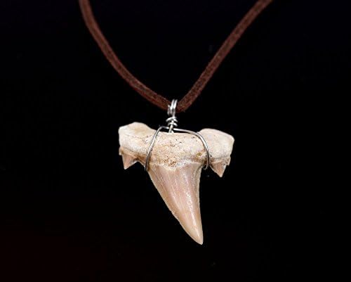 Fossilized shark tooth necklace on brown leather cord
