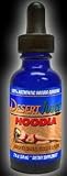 31DtS3pjoAL. SL160  Hoodia Liquid DesertJuice ® ZA 750 Tincture