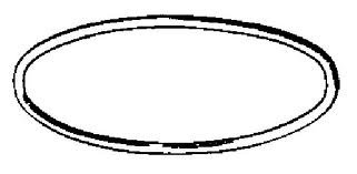Singer Belt
