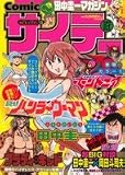 Comic�����ơ������淽��ޥ����� (BUNKASHA COMICS)