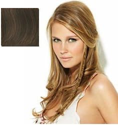 Put On Pieces Clip-in Long Braid Chestnut