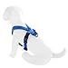 Pawtitas Reflective Dog Harness Padded Dog Harness Provides Comfort Control for a Walk or Running Great Pet Accessories Dog Vest S Small Bue Dog Harness