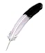 Costumes For All Occasions BB08 Eagle Tip Feather